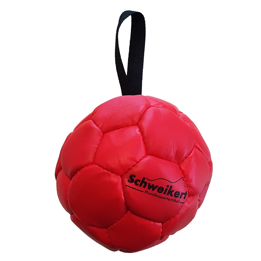 Кожаный мяч купить. Мяч Гаппай для собак. Кожаный мяч. Кожаный мячик. Собака с мячиком.